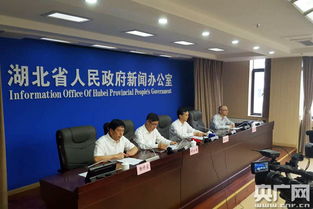 湖北省安全生产监督管理局，保障人民生命财产安全的坚实盾牌