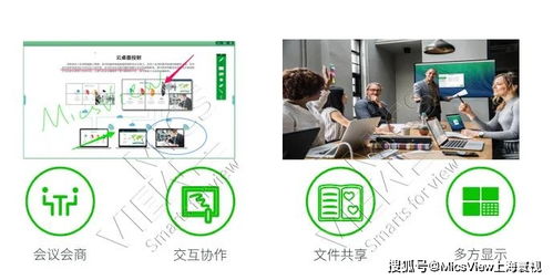 智慧法大账号，法律教育的数字化转型与未来