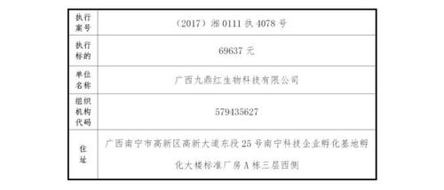 长沙市雨花区法院咨询电话，您的法律咨询指南