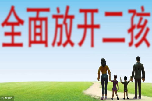 农村二胎新政策，家庭规划与社会发展的新篇章