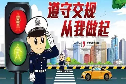 面对悲剧，如何从教练出车祸事件中吸取教训并提高道路安全意识