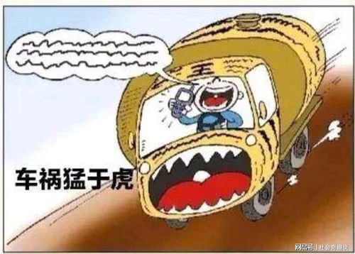 面对悲剧，如何从教练出车祸事件中吸取教训并提高道路安全意识