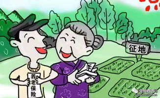 土地变保障，被征地农民养老保险的守护伞