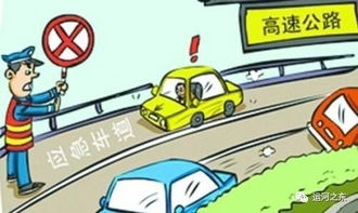 福建泉州交通事故，预防与应对指南