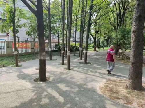 甘肃卫生厅，守护健康，促进发展的桥梁