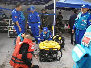 万州公交车坠江事件，安全意识与应急反应的重要性