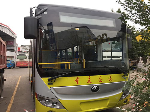 万州公交车坠江事件，安全意识与应急反应的重要性