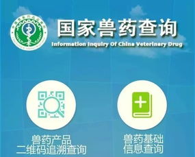 个人信息保护，如何安全地查询姓名背后的数据