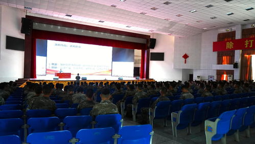 兵役法安置条例，保障退役军人权益的法律基石