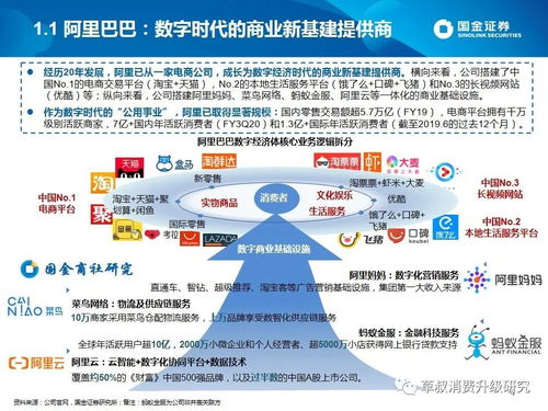 深入解析三商法，商业策略、智慧与道德的融合