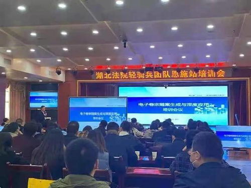 探索南京雨花台区法院网站，法律服务与信息获取的便捷之门