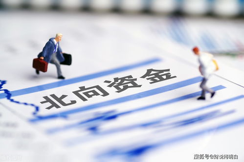 揭开外资企业的神秘面纱，如何轻松查询与理解