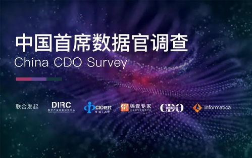 揭开外资企业的神秘面纱，如何轻松查询与理解