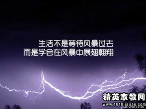 智慧的火花，法律警句格言的力量与魅力