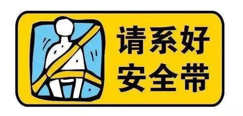 安全带扣的重要性，了解交通规则，保障生命安全