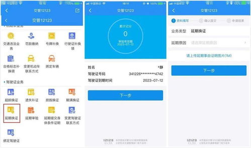 鞍山机动车违章查询，如何轻松掌握车辆违章信息