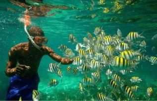 保护蓝色星球，海洋环境保护的重要性与实践