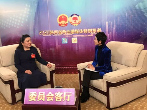 西安法智律师事务所，律师风采，法律之光