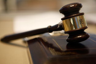 法律知识问答，日常生活中的法律指南