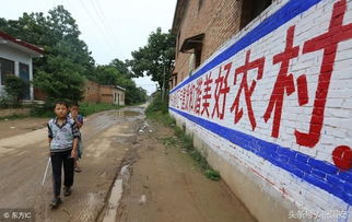 乡村新貌，新农村建设政策如何点亮我们的家园