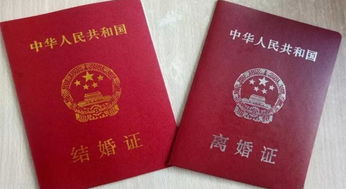 丢失结婚证怎么办？一文教你轻松应对