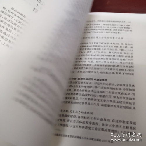 如何依法行政，构建法治政府的实践与思考