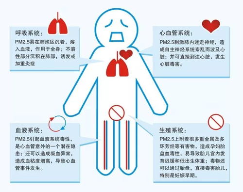 呼吸之间，揭秘室内空气污染的隐形威胁