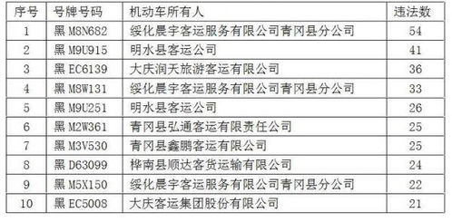 单位车辆管理，提升效率与安全的双轮驱动