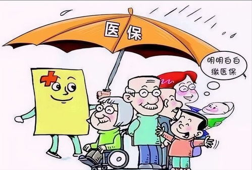 深入了解农村医疗保险报销范围，保障你的健康，减轻你的负担