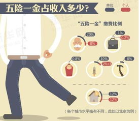北京市基本养老保险规定，保障与机遇