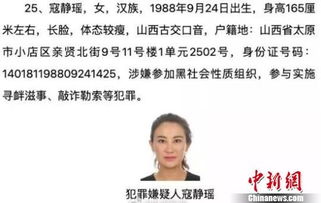 追捕逃犯的天网，公安网通缉犯名单的威力与智慧
