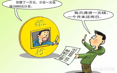 深入了解所得税滞纳金，计算方法与避免策略