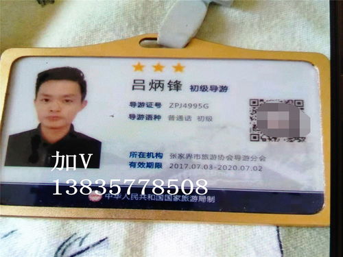 开启导游之旅，办理导游证的指南与魅力