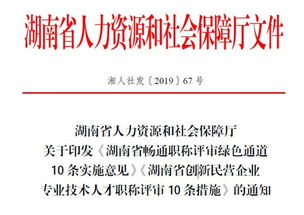 深圳市人才认定办法，打造人才高地，激发创新活力