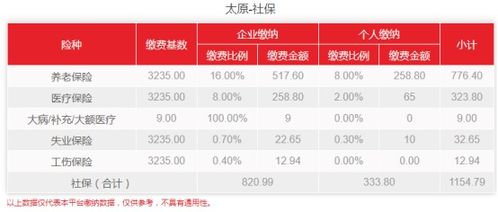 2013年北京社保基数，保障生活的基石