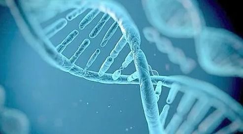 浙江亲子鉴定，揭开DNA之谜，守护家庭和谐