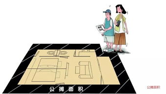 电梯房公摊面积，共享空间的奥秘与价值