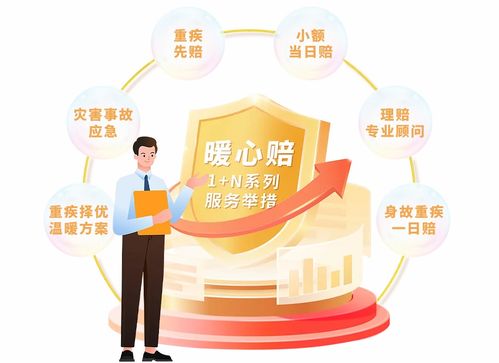 人寿保险理赔，深入了解与高效处理指南