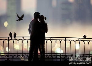 婚姻的速食时代，结婚三天离婚的现实与反思