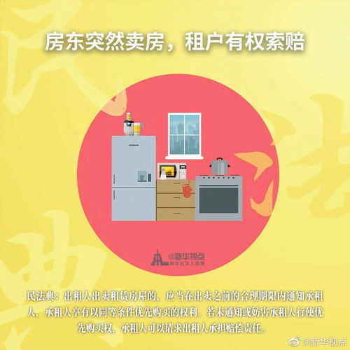 探索法律的奥秘，法律知识科普网站如何改变你的生活