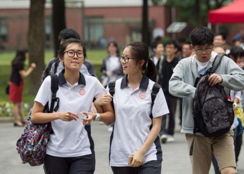 宿舍风云，女生宿舍群殴背后的真相与解决之道