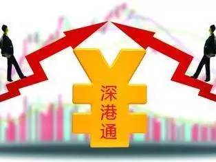 深入了解投资有限公司的经营范围，机遇与挑战