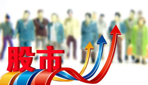 深入了解投资有限公司的经营范围，机遇与挑战