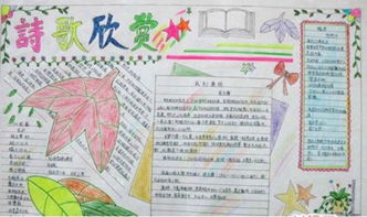 探索法律知识，手抄报文字素材的实用指南