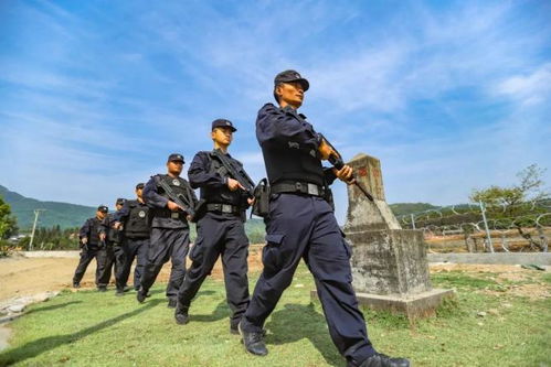 中越边境破运毒案，打击跨国毒品犯罪的前沿战线