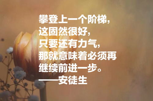 法律名言名句大全集，智慧的火花与生活的指南