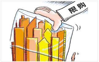 成都限购政策升级，楼市调控新风向与购房者的应对策略