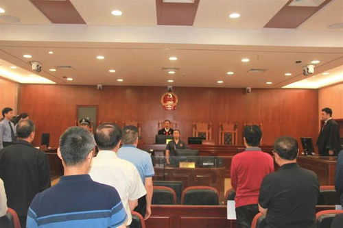 深入了解雨花台区法院，咨询电话与服务指南