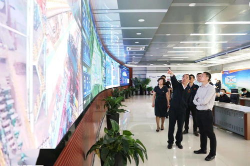 深入探究，调查公司的可信度与服务价值