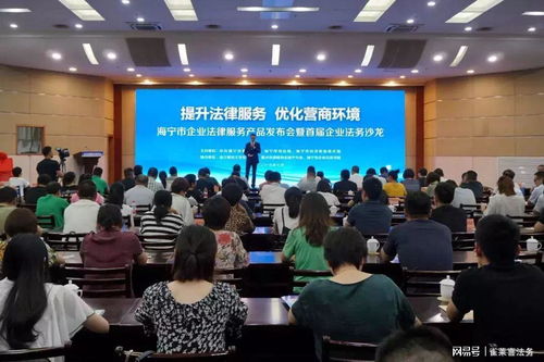 智慧法制系统，未来法律服务的新篇章